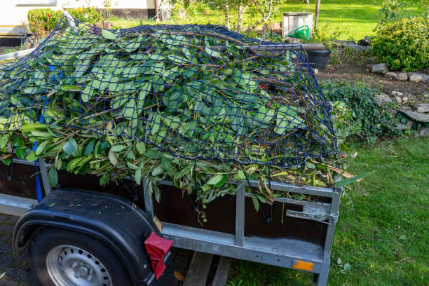 Best Shed Removal  in Jarrettsville, MD